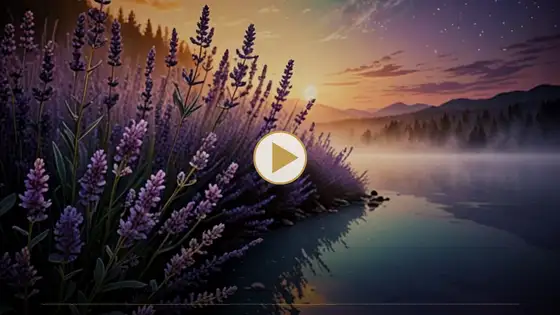 Watch the video series